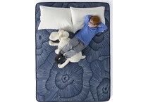 endearing nights plush hybrid mattress king   