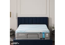 ergo prosmart air black adjustable base queen   