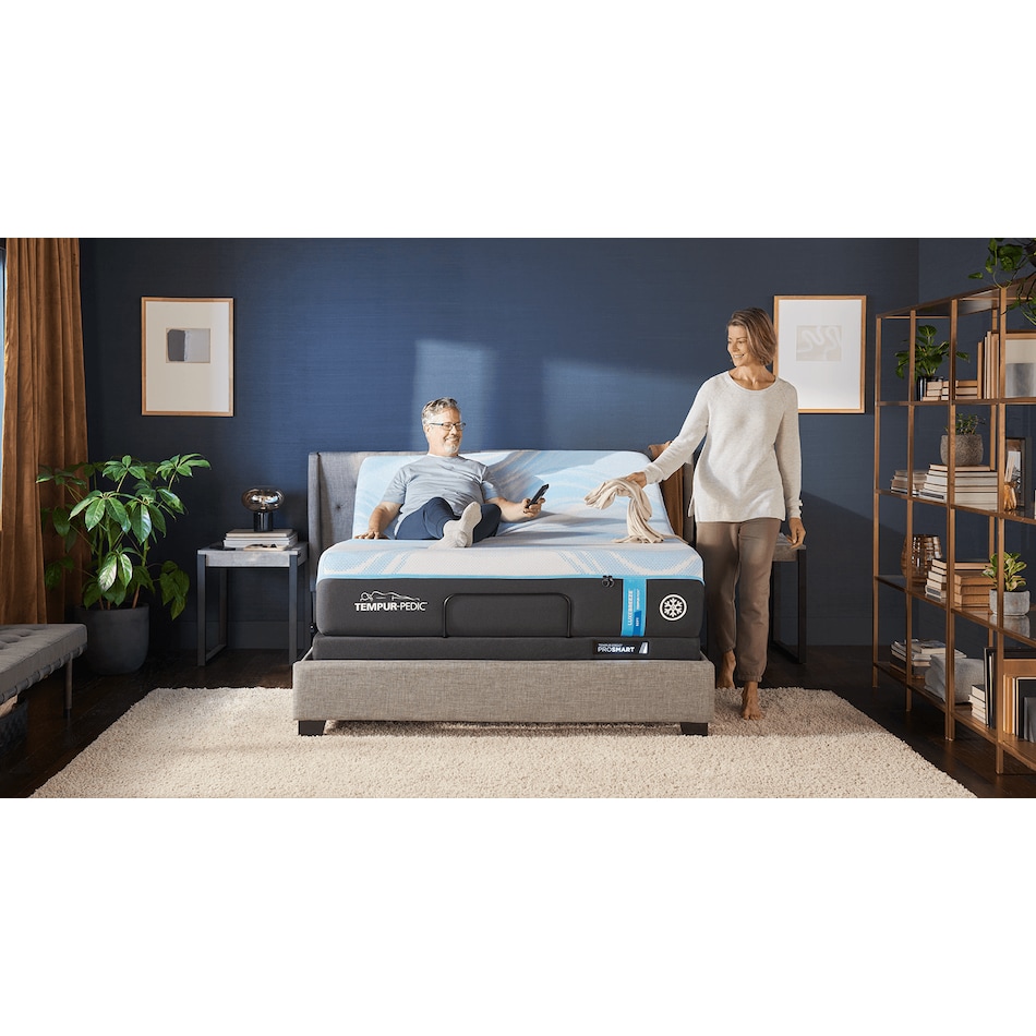 ergo prosmart adjustable base king   