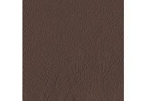 espresso swatch  