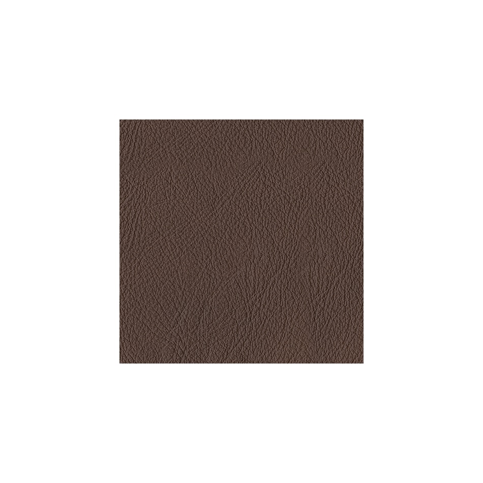 espresso swatch  