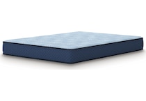 essentials  inch hybrid blue mattress queen   