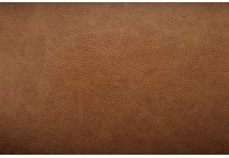 fawn swatch  