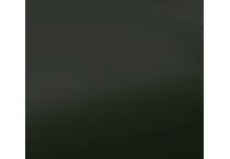 forest green swatch  