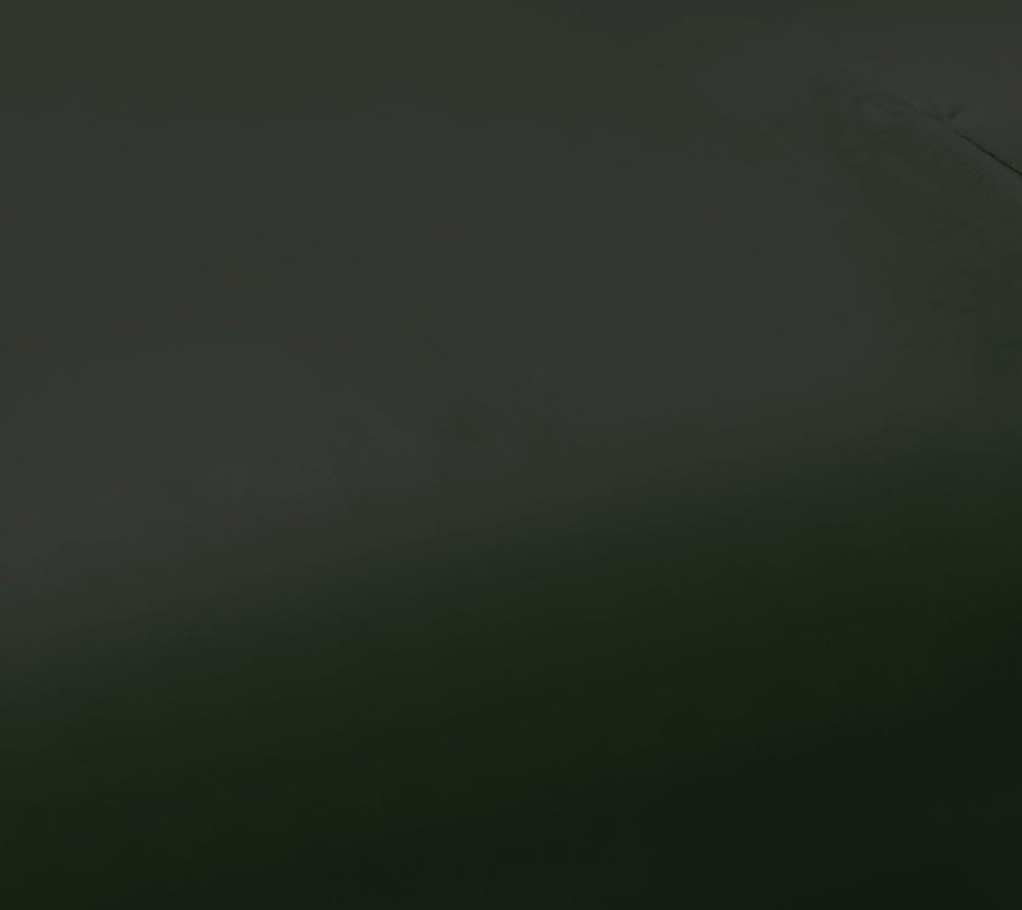 forest green swatch  