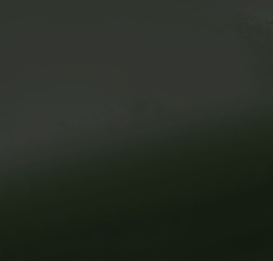 forest green swatch  