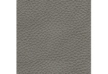 gray swatch  