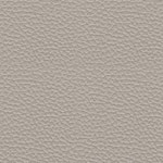 gray swatch  