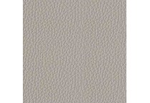 gray swatch  