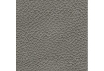 grey swatch  