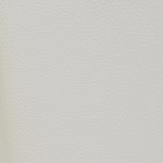 ivory swatch  