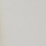 ivory swatch  