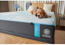 luxe breeze  firm mattress cal king   