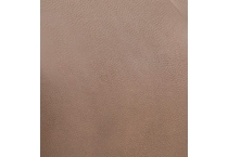 mocha swatch  