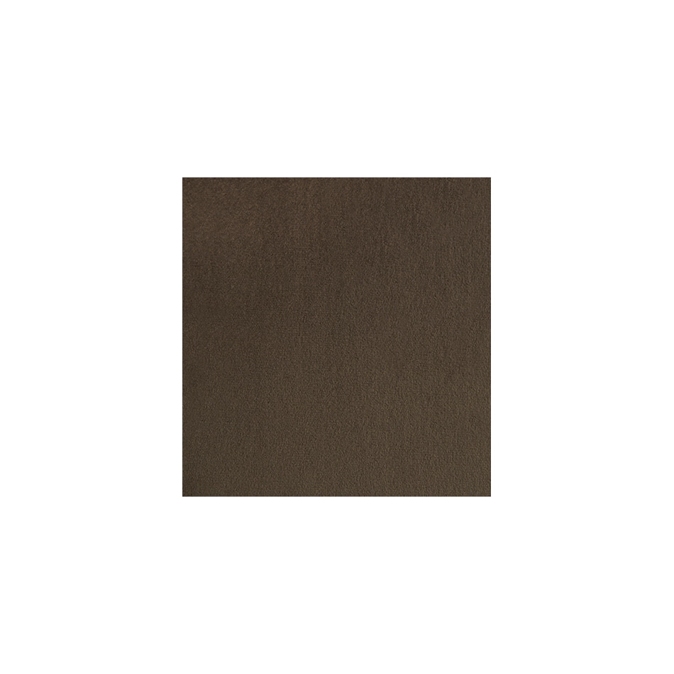 mocha swatch  