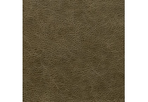 muddled basil swatch  