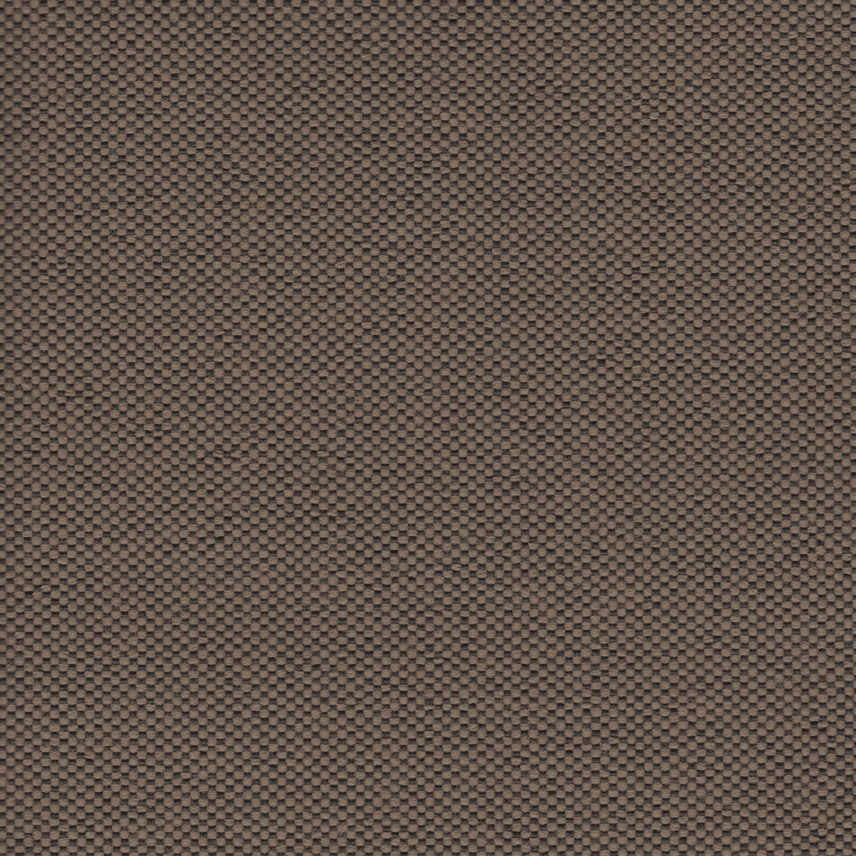mushroom swatch  
