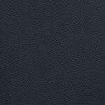 navy swatch  