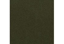 olive swatch  