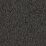 onyx swatch  