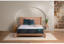 orca bay plush hybrid mattress queen   