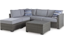 petal road gray package   