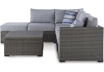 petal road gray package   