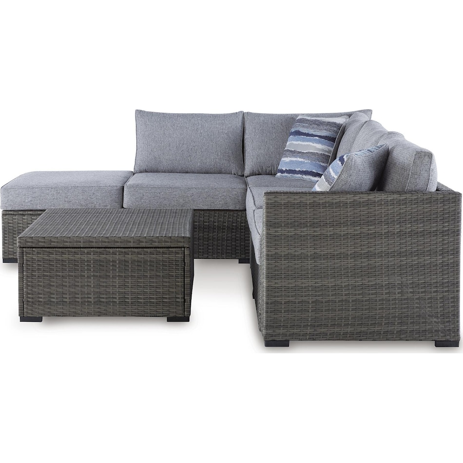 petal road gray package   