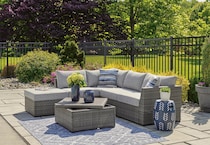 petal road gray package   