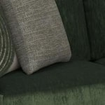 pine swatch  