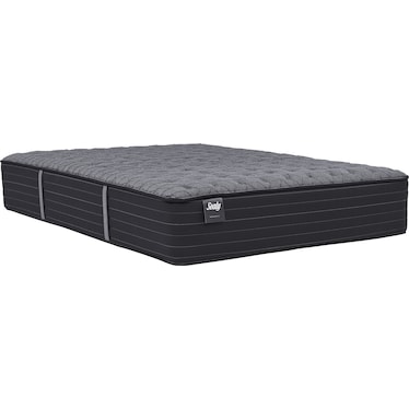 PRINCETON FIRM QUEEN MATTRESS