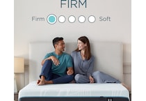 proadapt  firm blue mattress twin xl   
