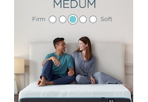 proadapt  medium blue mattress twin   