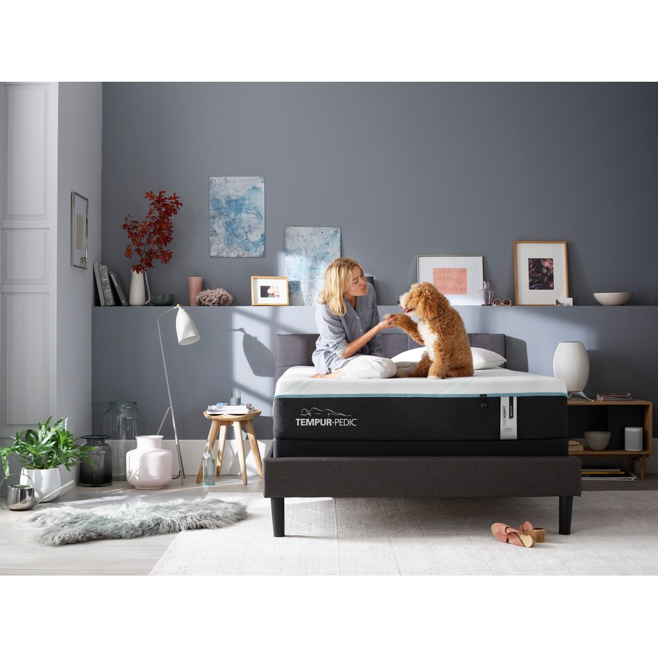 proadapt medium hybrid mattress full   