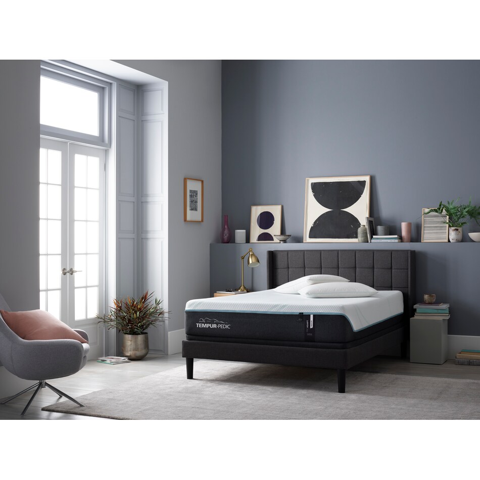 proadapt medium mattress queen   