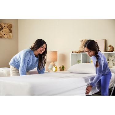 PURPLE QUEEN MATTRESS PROTECTOR