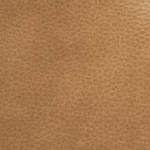 saddle swatch  