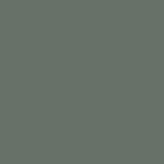 sage green swatch  