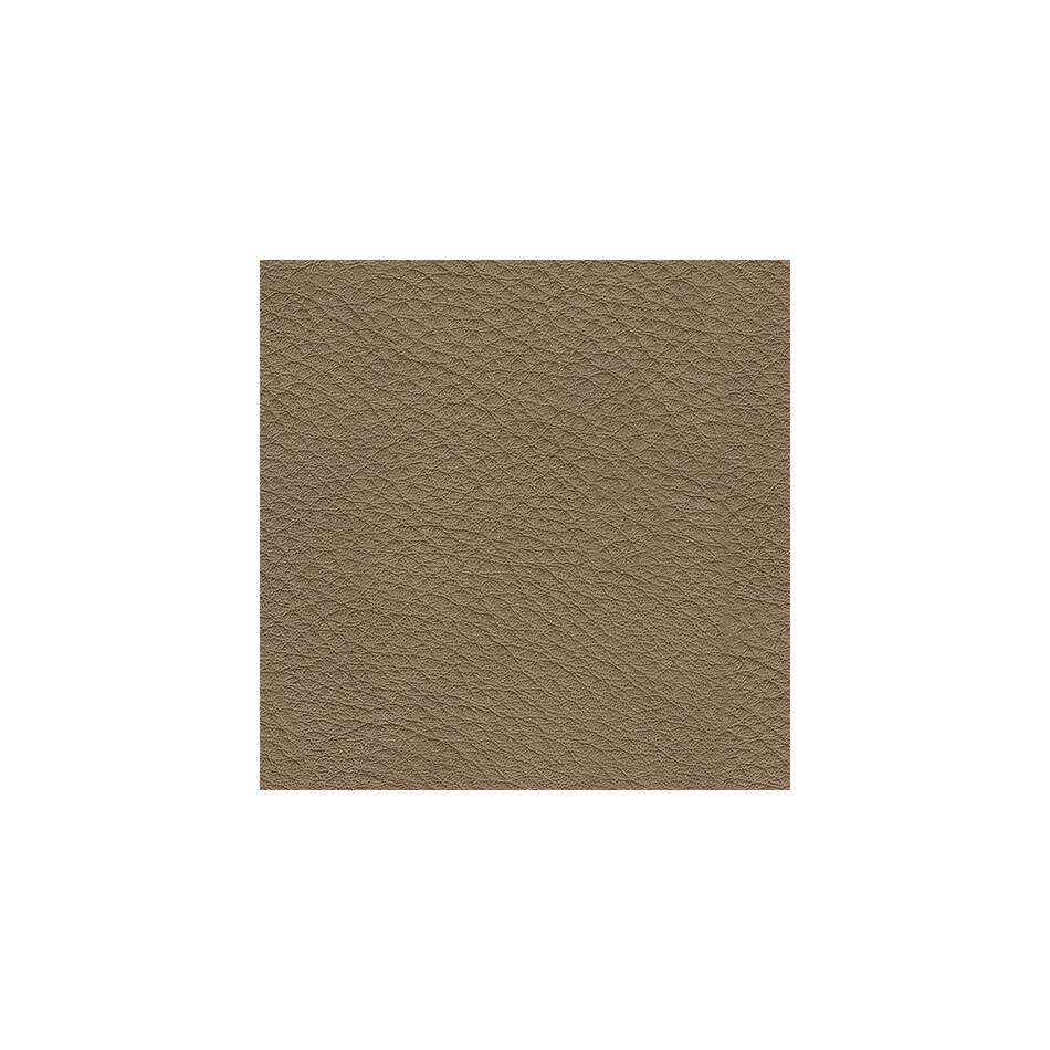 sahara swatch  