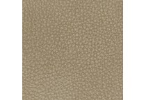 sand swatch  