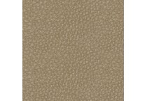 sand swatch  