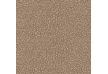 sand swatch  