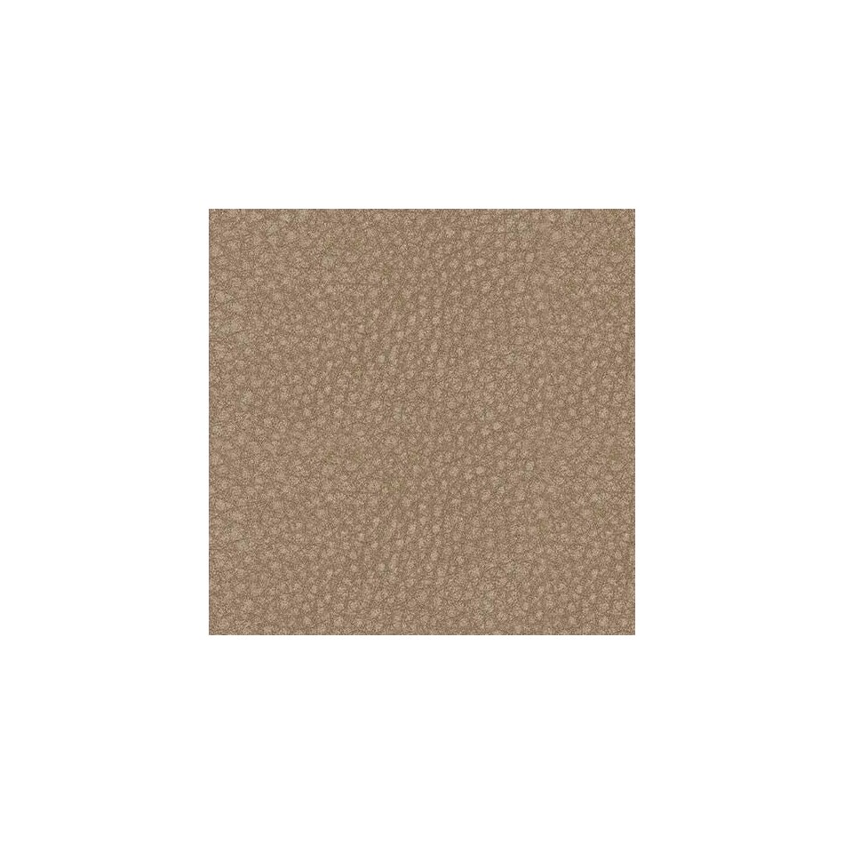 sand swatch  