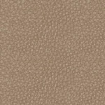 sand swatch  