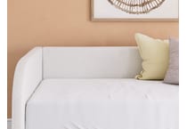 shapella tan and white package   