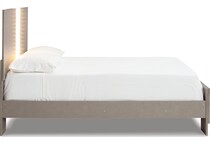 surancha gray package   