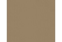 tan swatch  