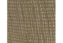 tira seashell swatch  