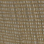 tira seashell swatch  