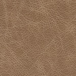 tumbleweed swatch  